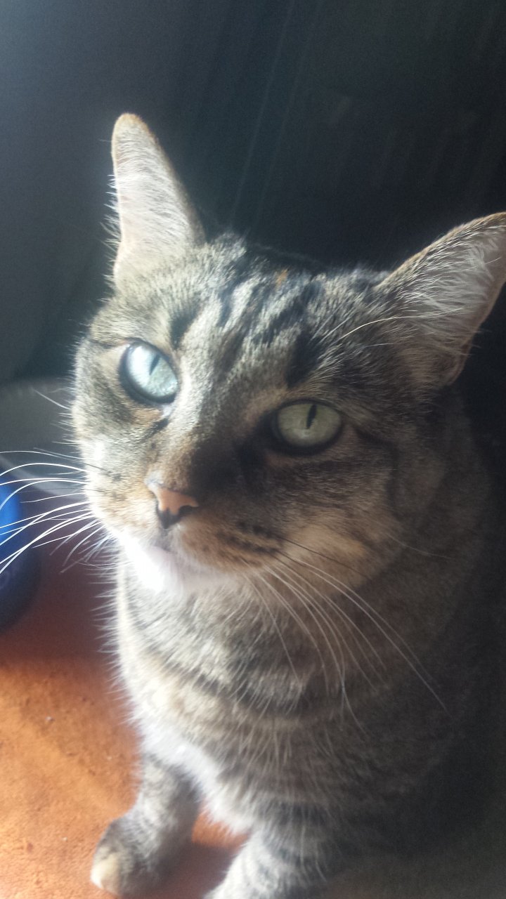20190408_145953.jpg