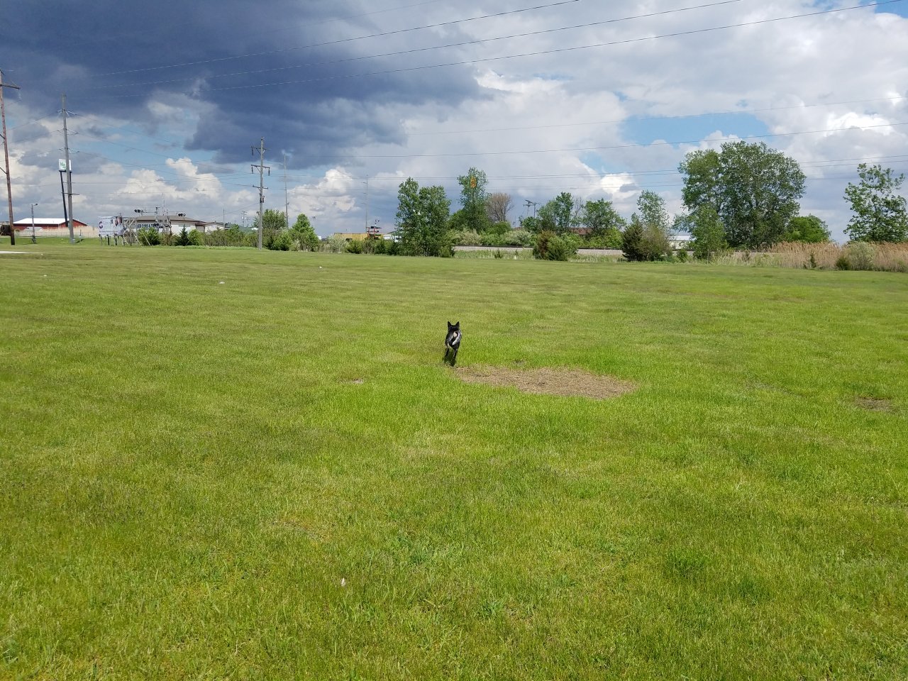 20190519_140744.jpg