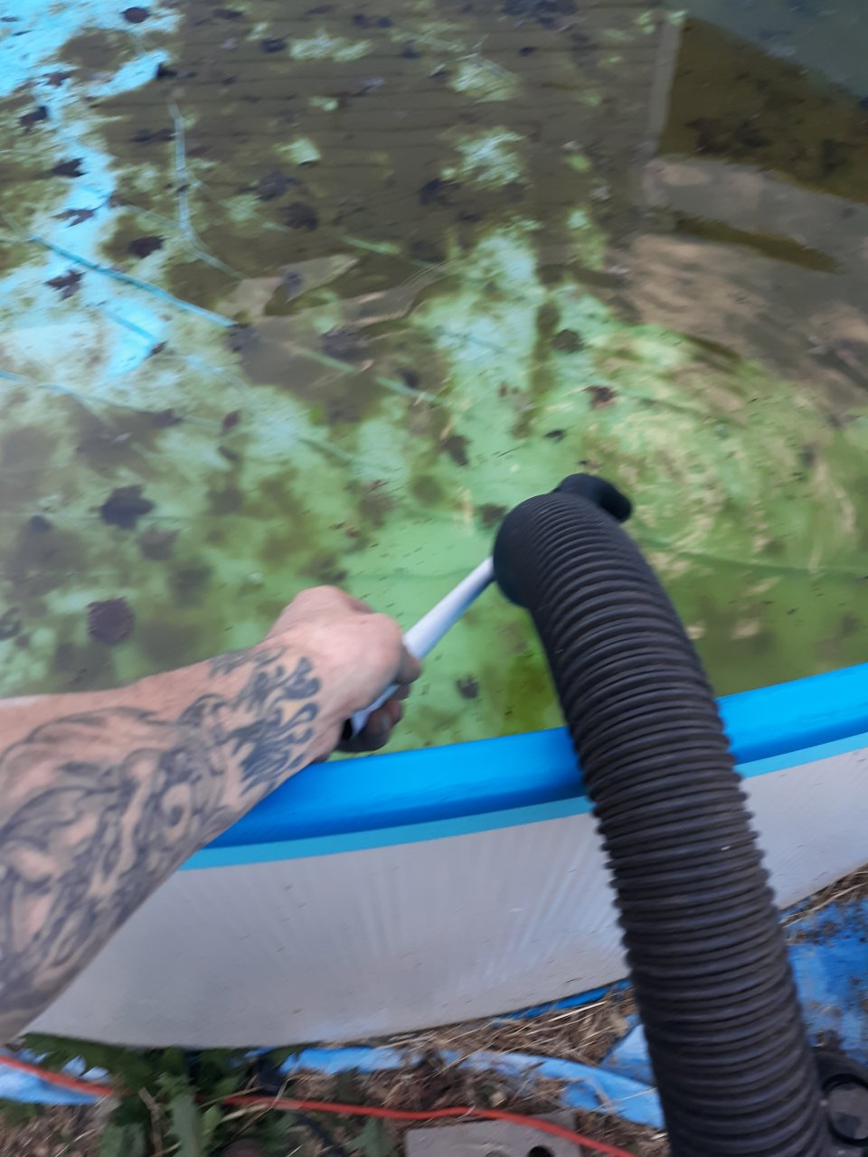 20190701_201138.jpg