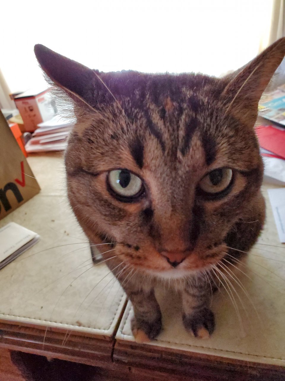 20190712_143654.jpg