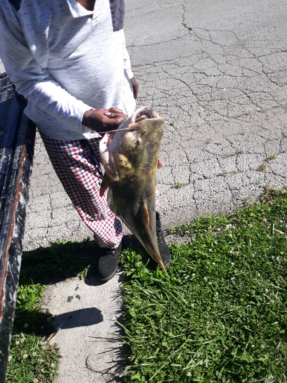 20190712_174048.jpg