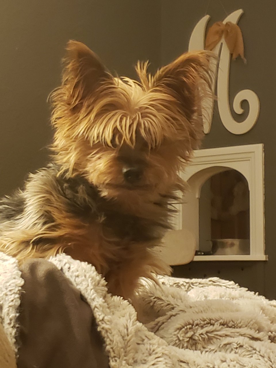 20190914_000224.jpg