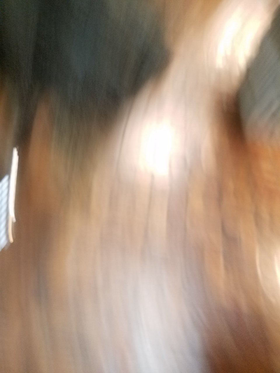 20190915_105909.jpg