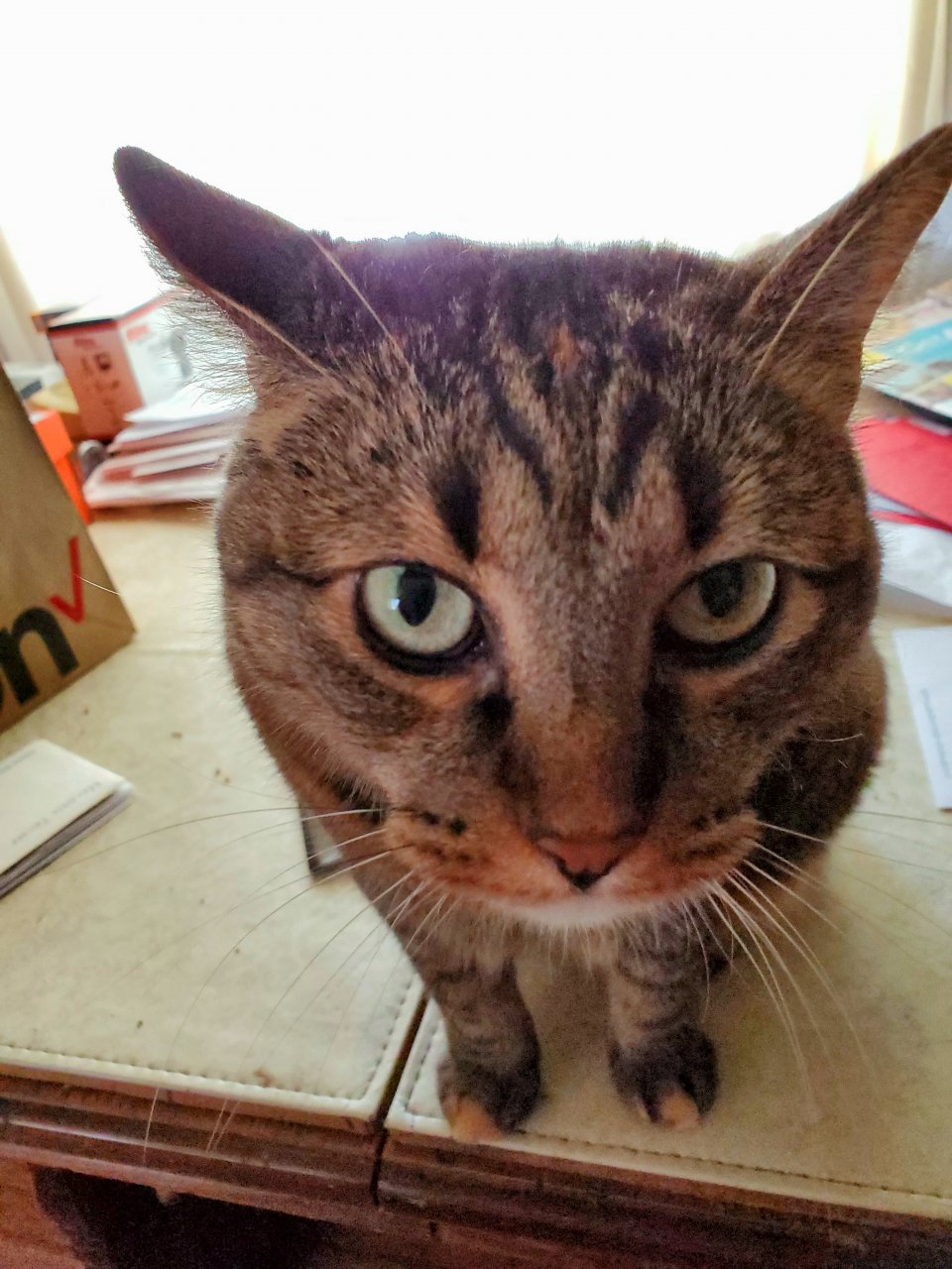20191004_012348.jpg