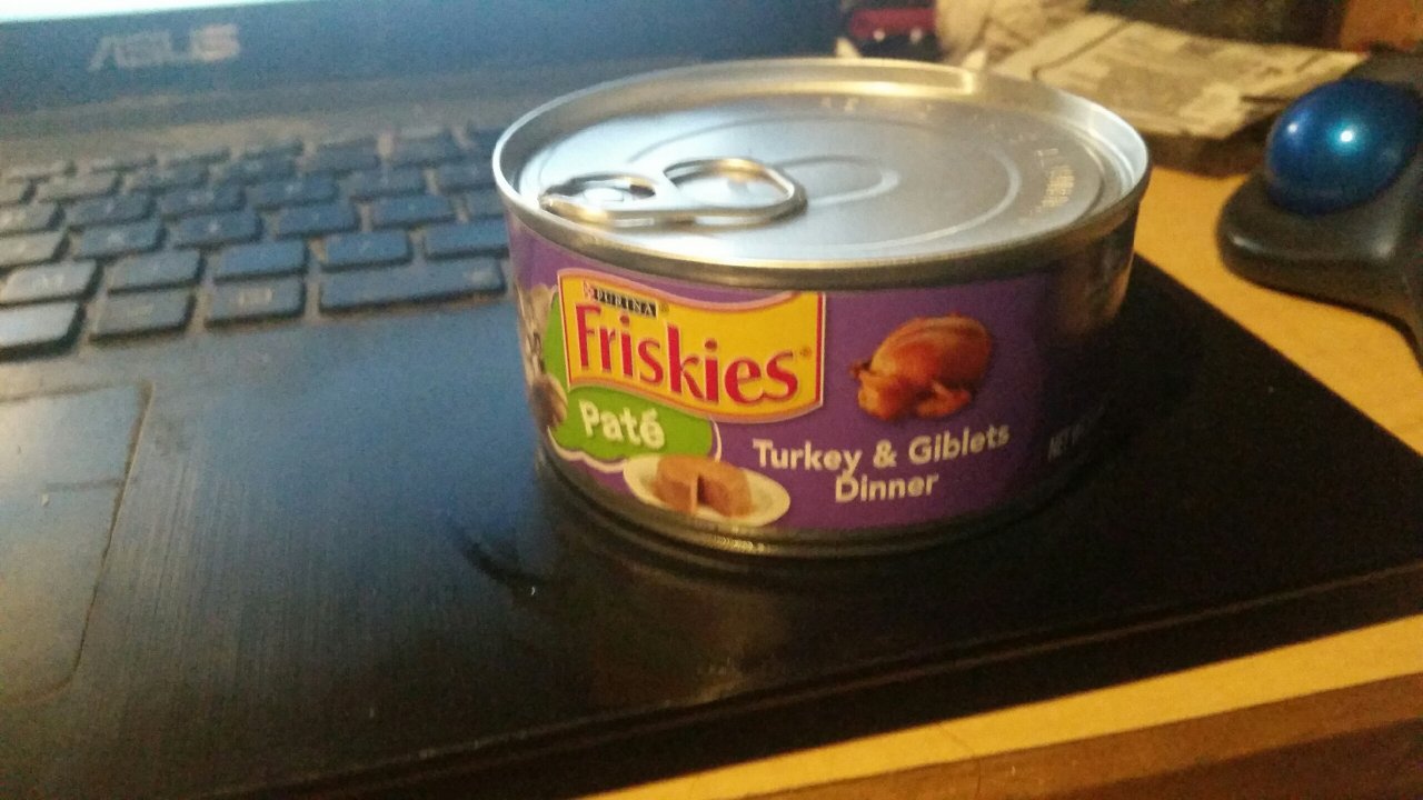 20191025_181314.jpeg