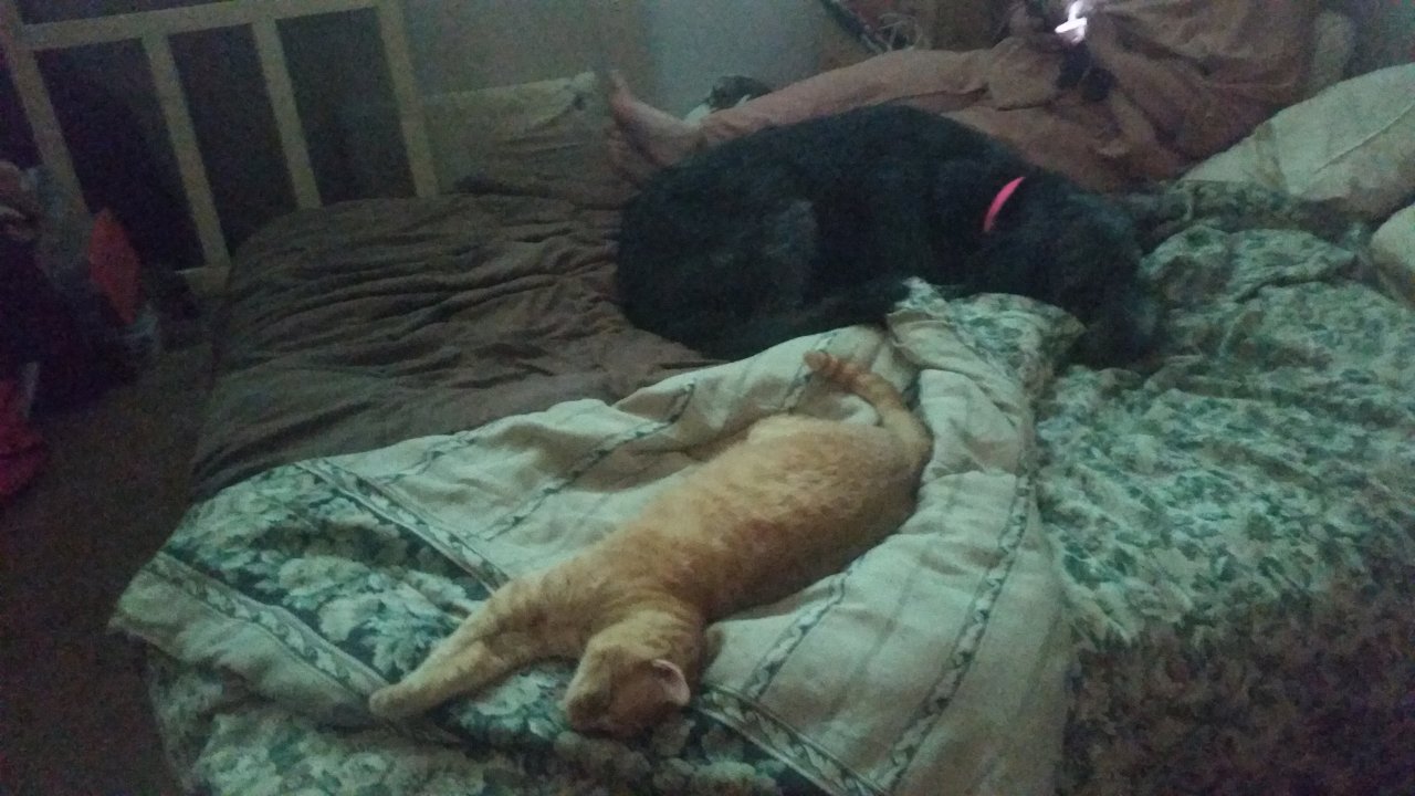 20200803_100819.jpg