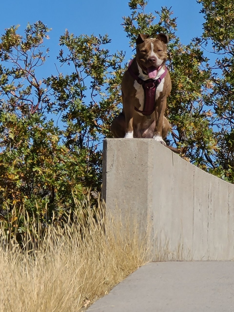 20200930_131518.jpg