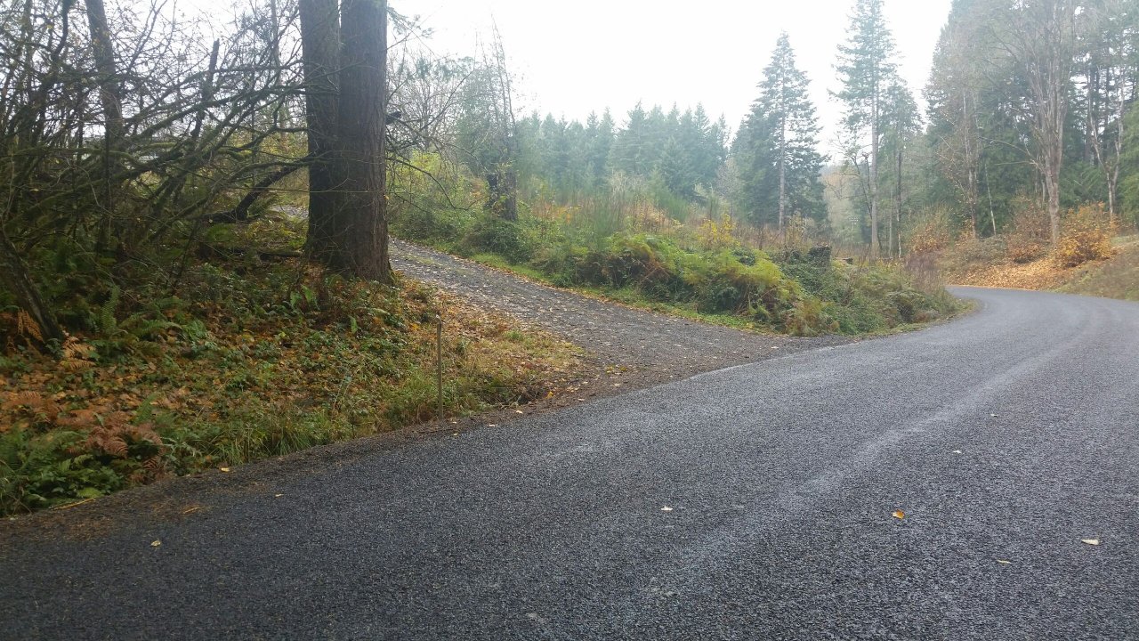 20201110_112442.jpeg
