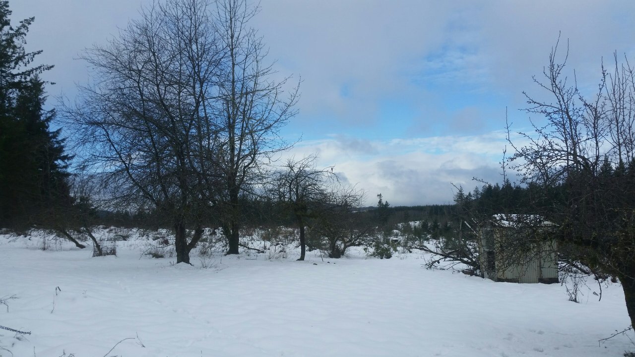 20210216_103954.jpeg
