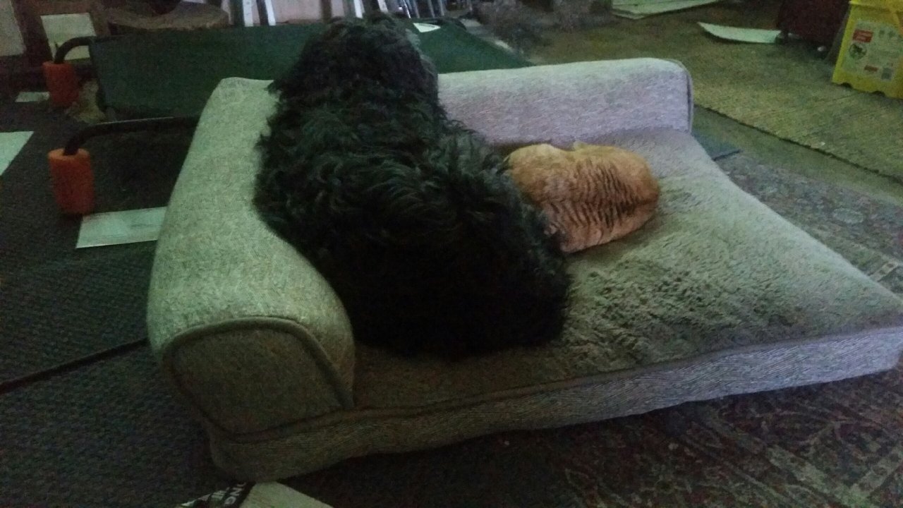 20210217_154155.jpeg