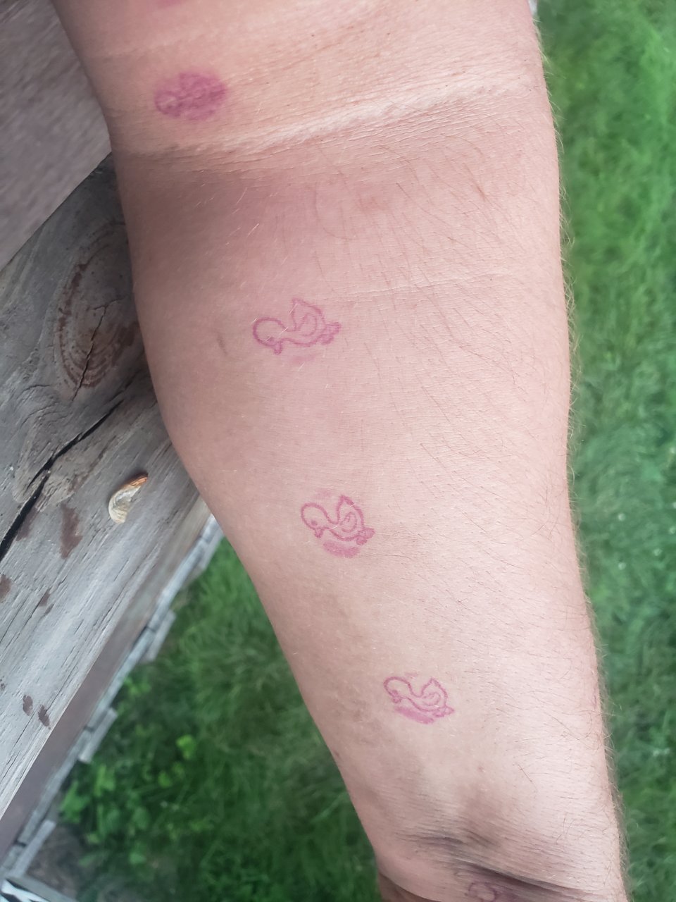 20210617_204501.jpg