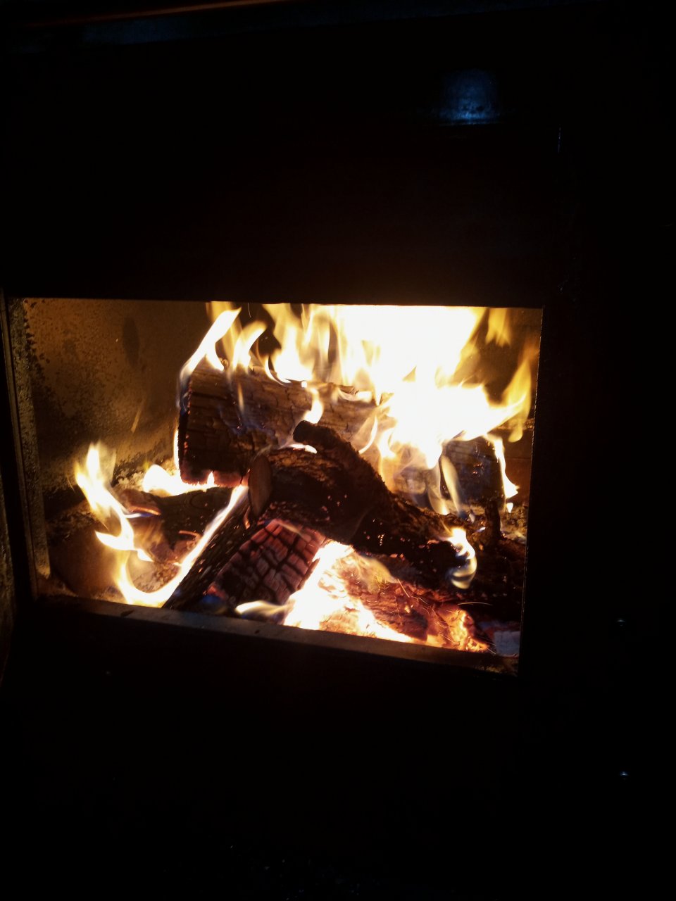 20211102_224447_HDR.jpg