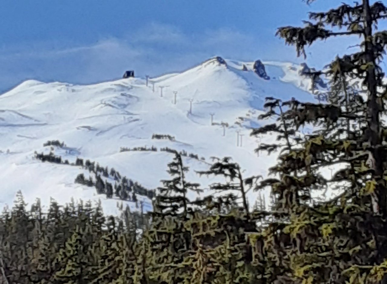 20220207_111140.jpg