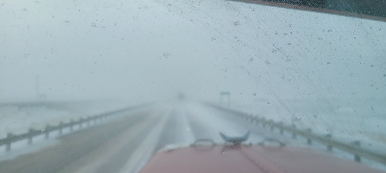 20220412_095911.jpg