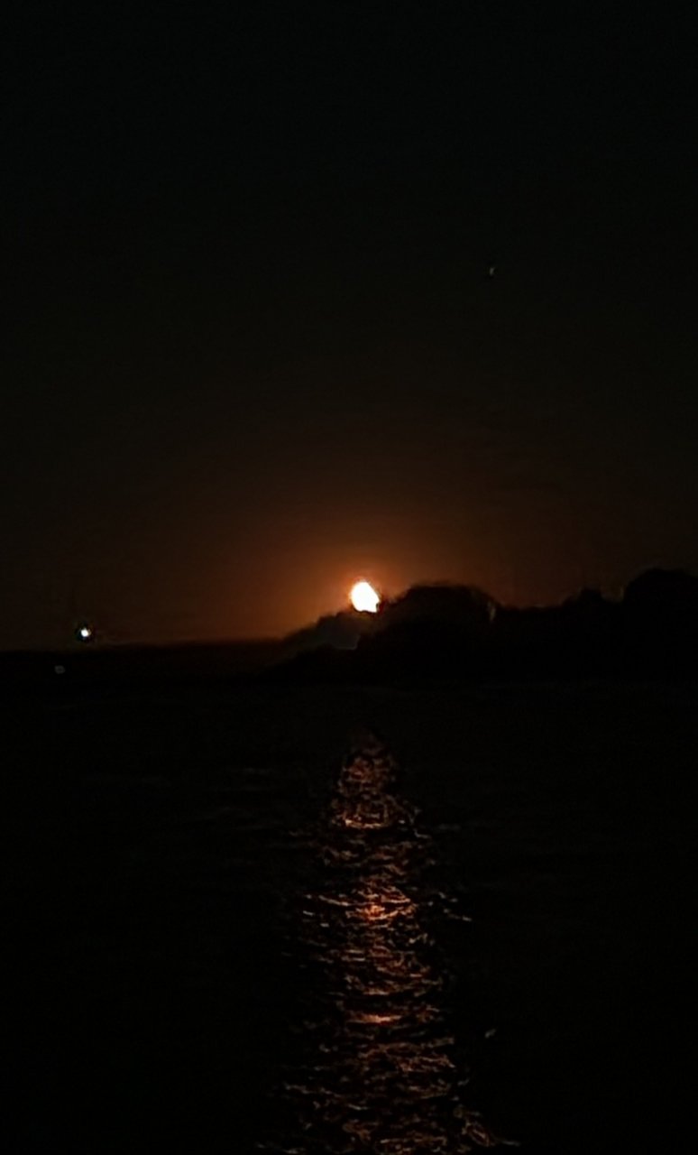 20220620_012455.jpg