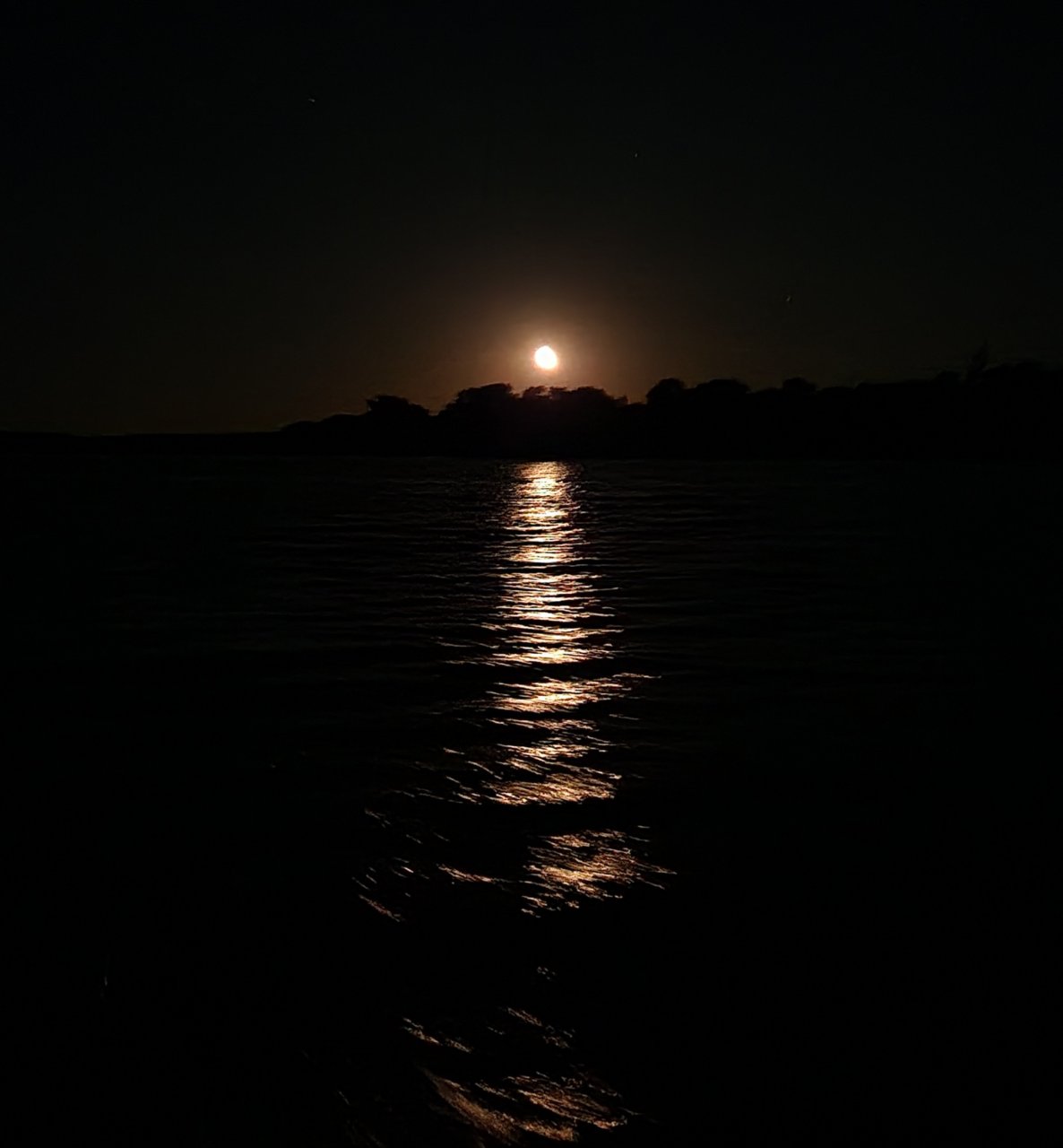 20220620_013629.jpg