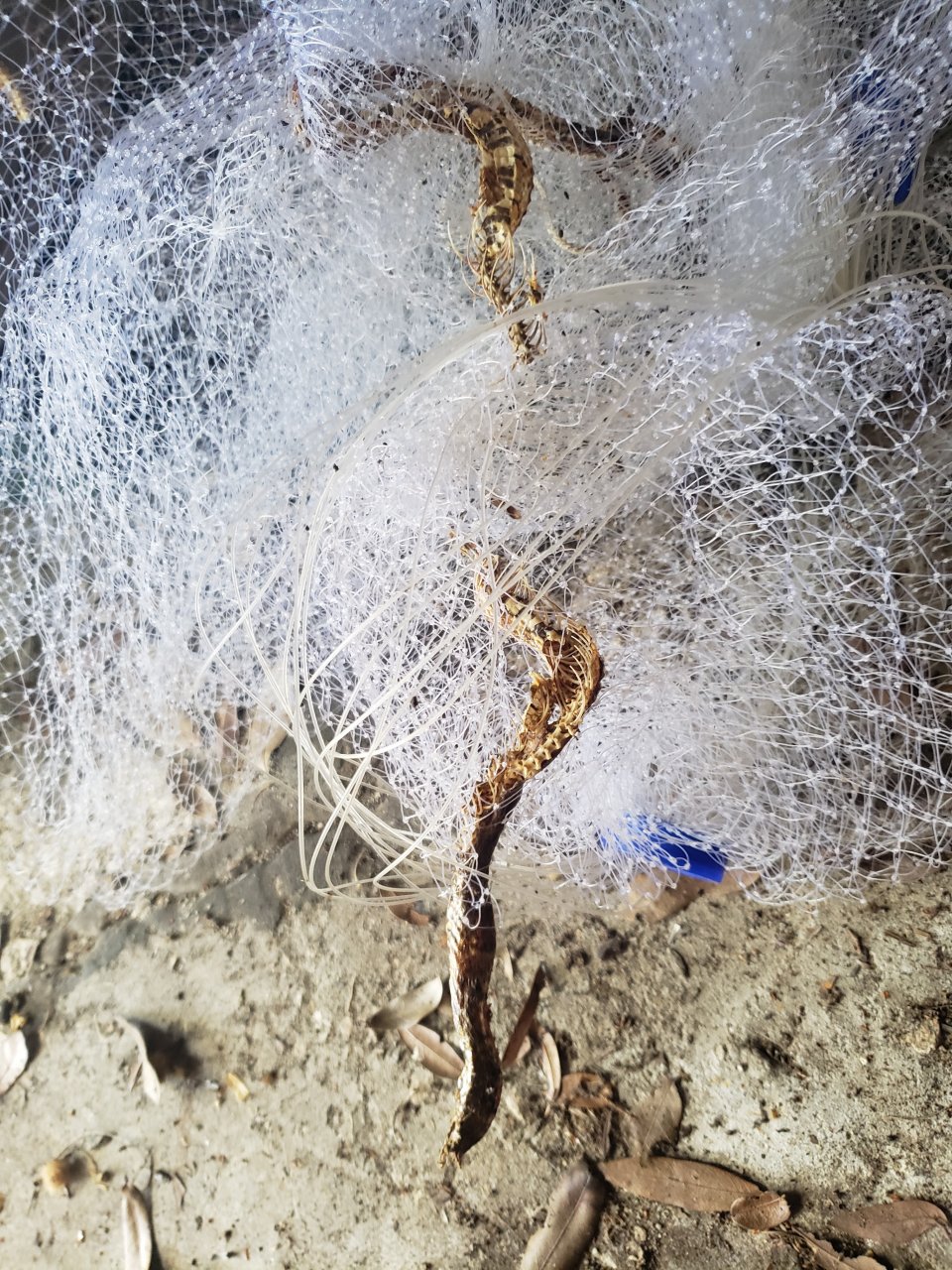 20220628_104408.jpg