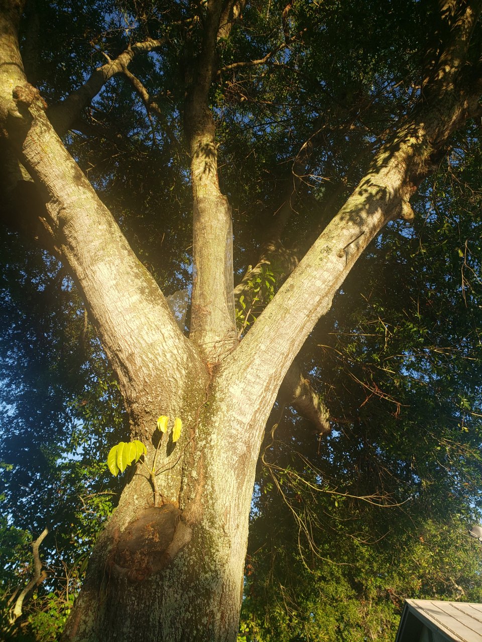 20220711_071750.jpg