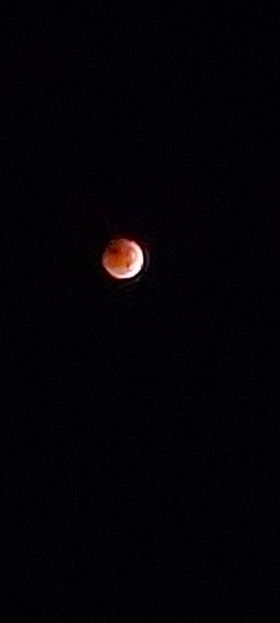 20221108_041632.jpg