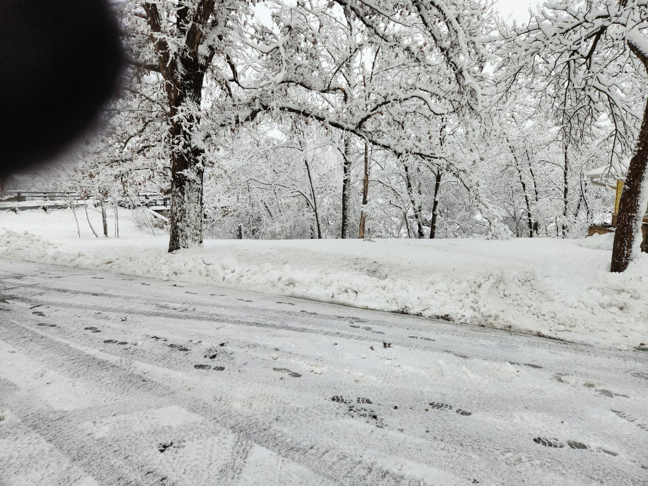 20221215_144859.jpg