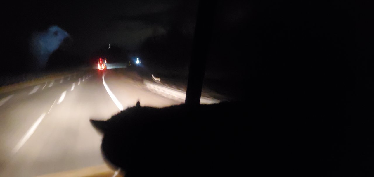20230215_005241.jpg