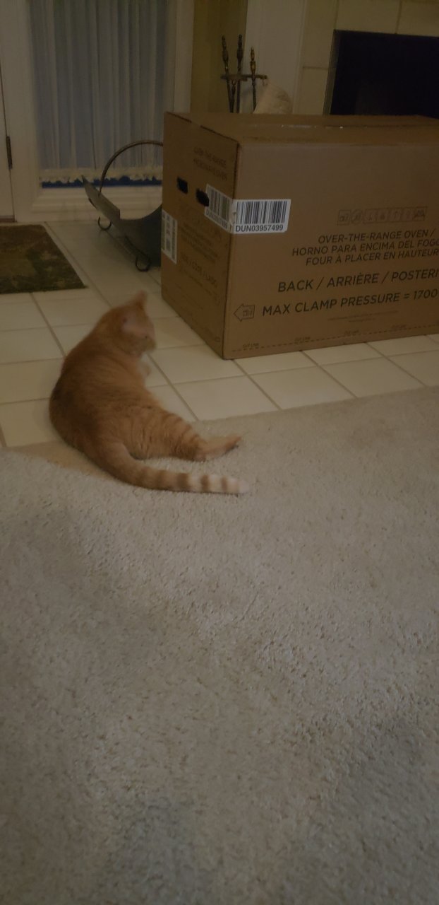 20230721_060617.jpg
