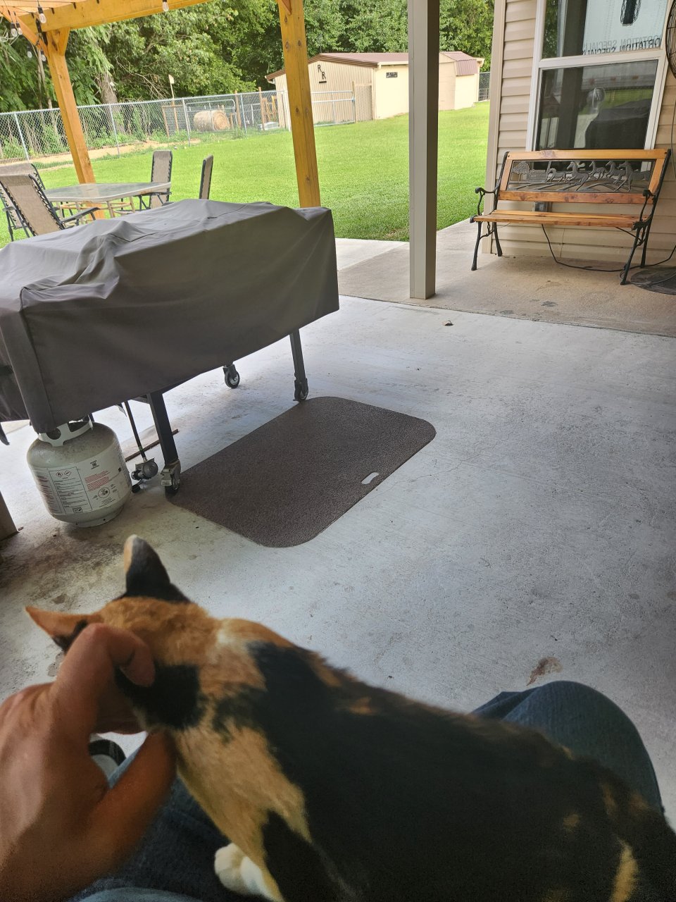 20230804_172651.jpg