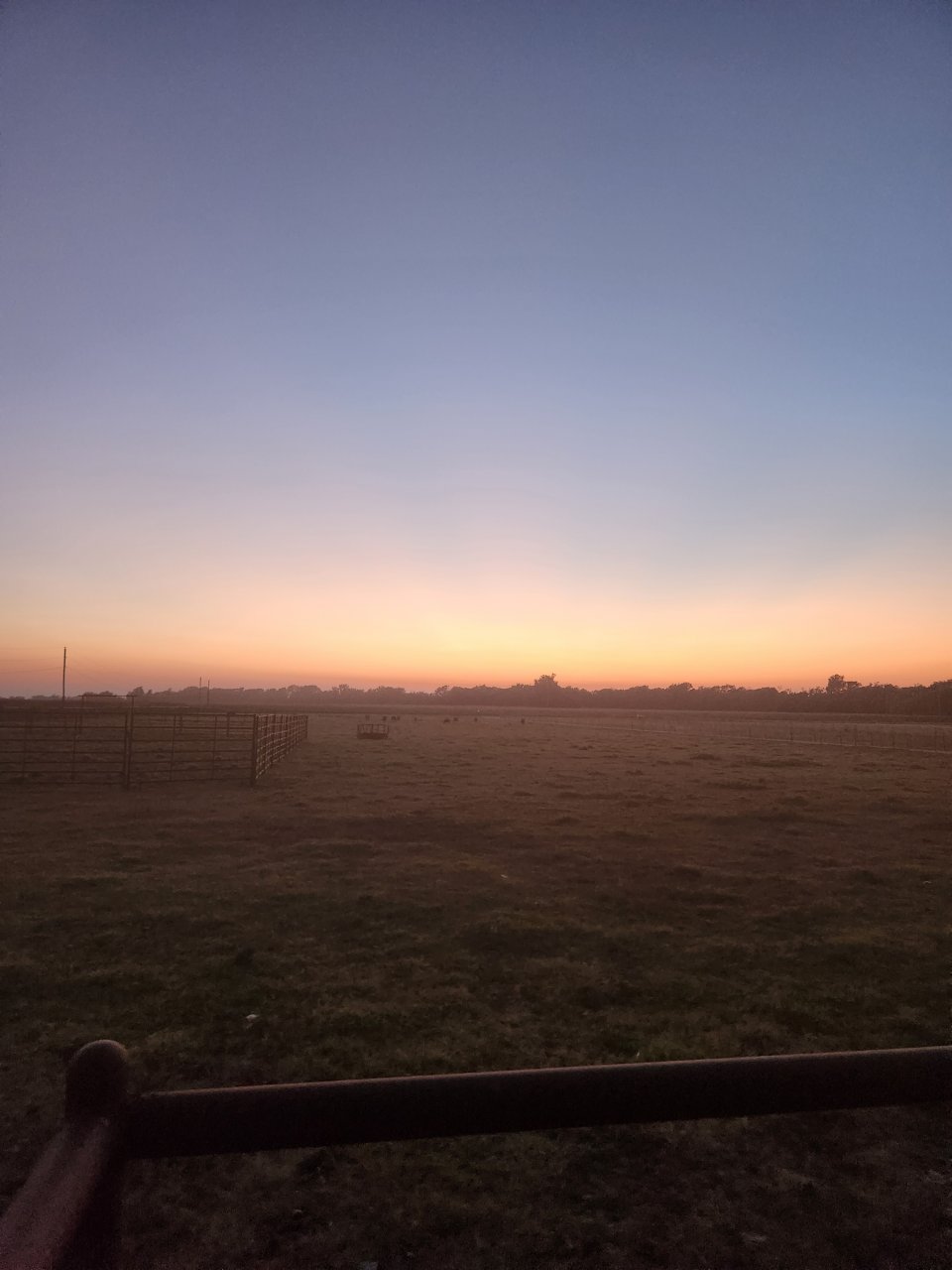 20230901_201542.jpg