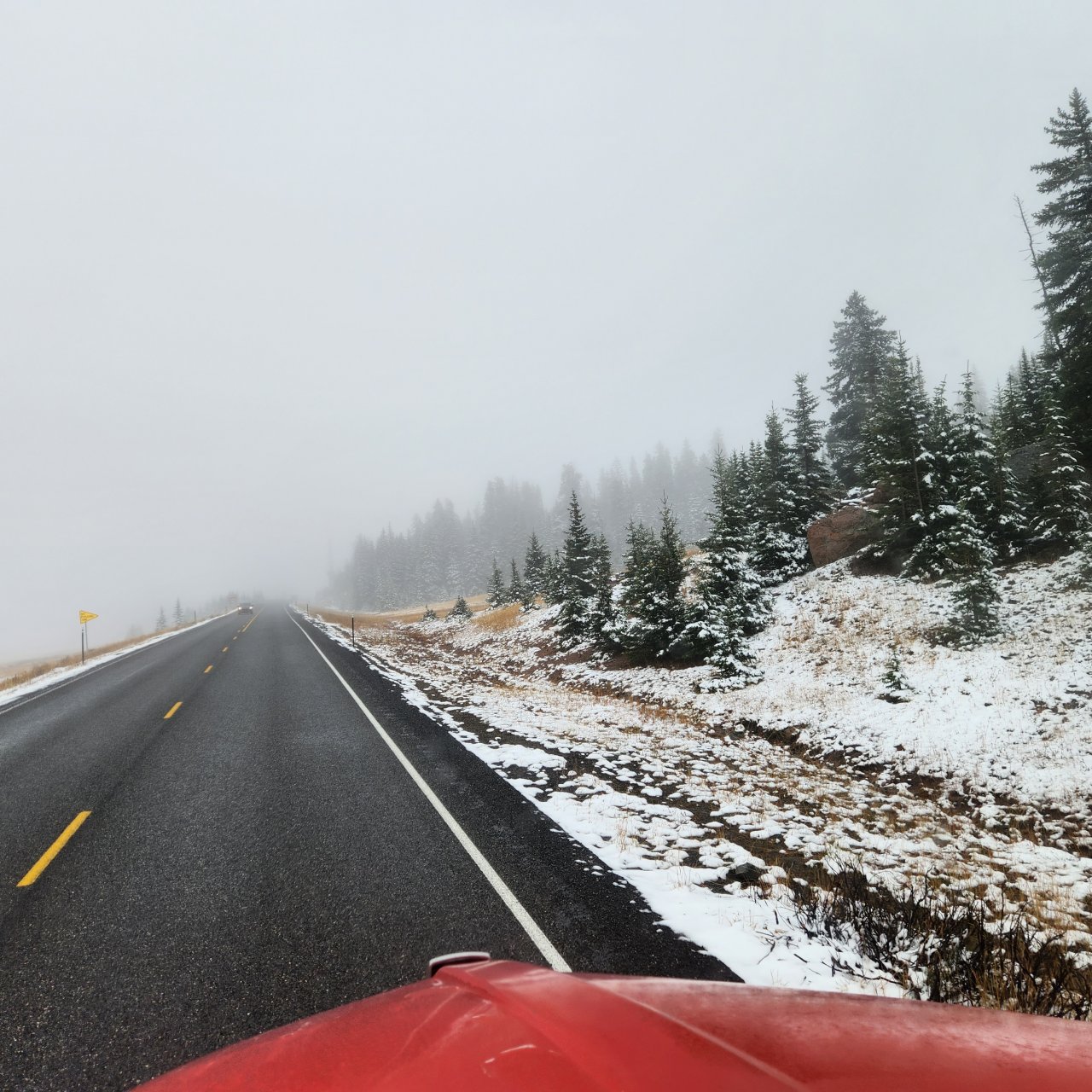 20230923_112017.jpg