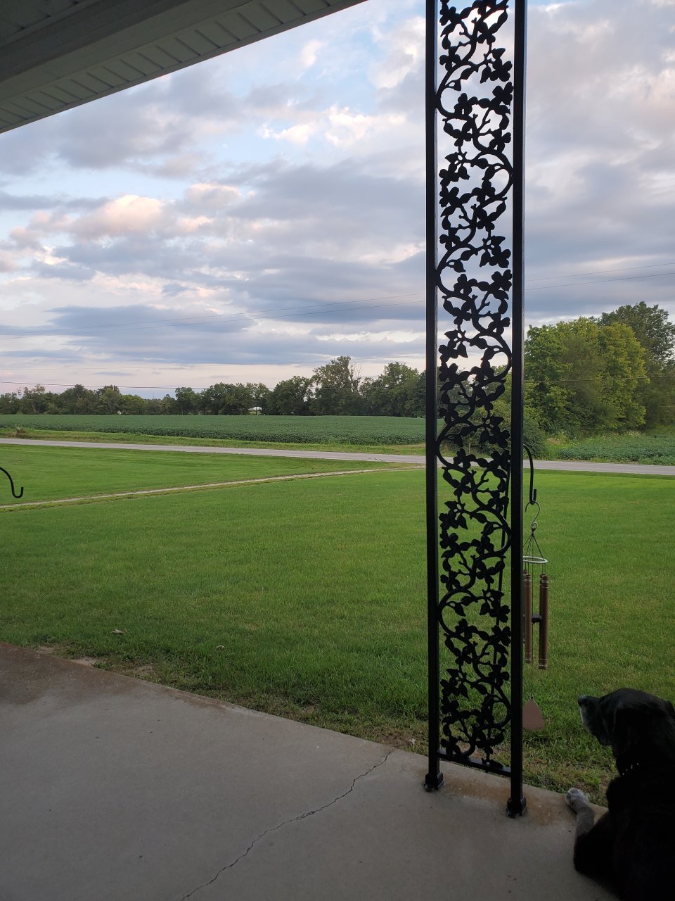 20240812_201538.jpg