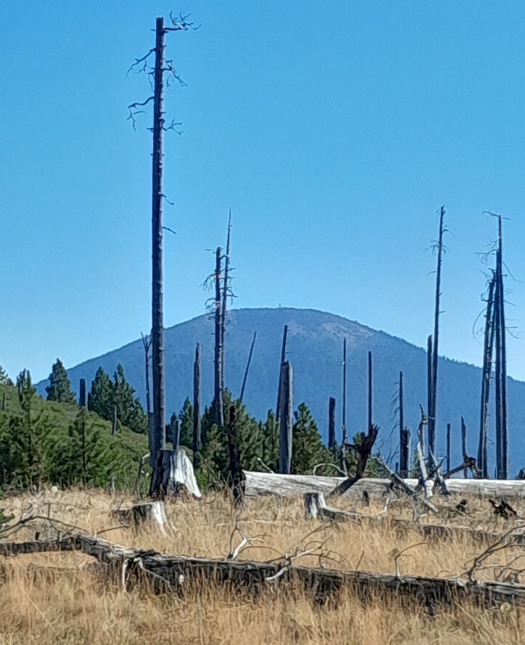 20240831_104728.jpg
