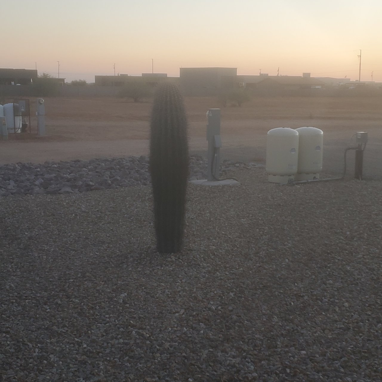 20240926_182844.jpg