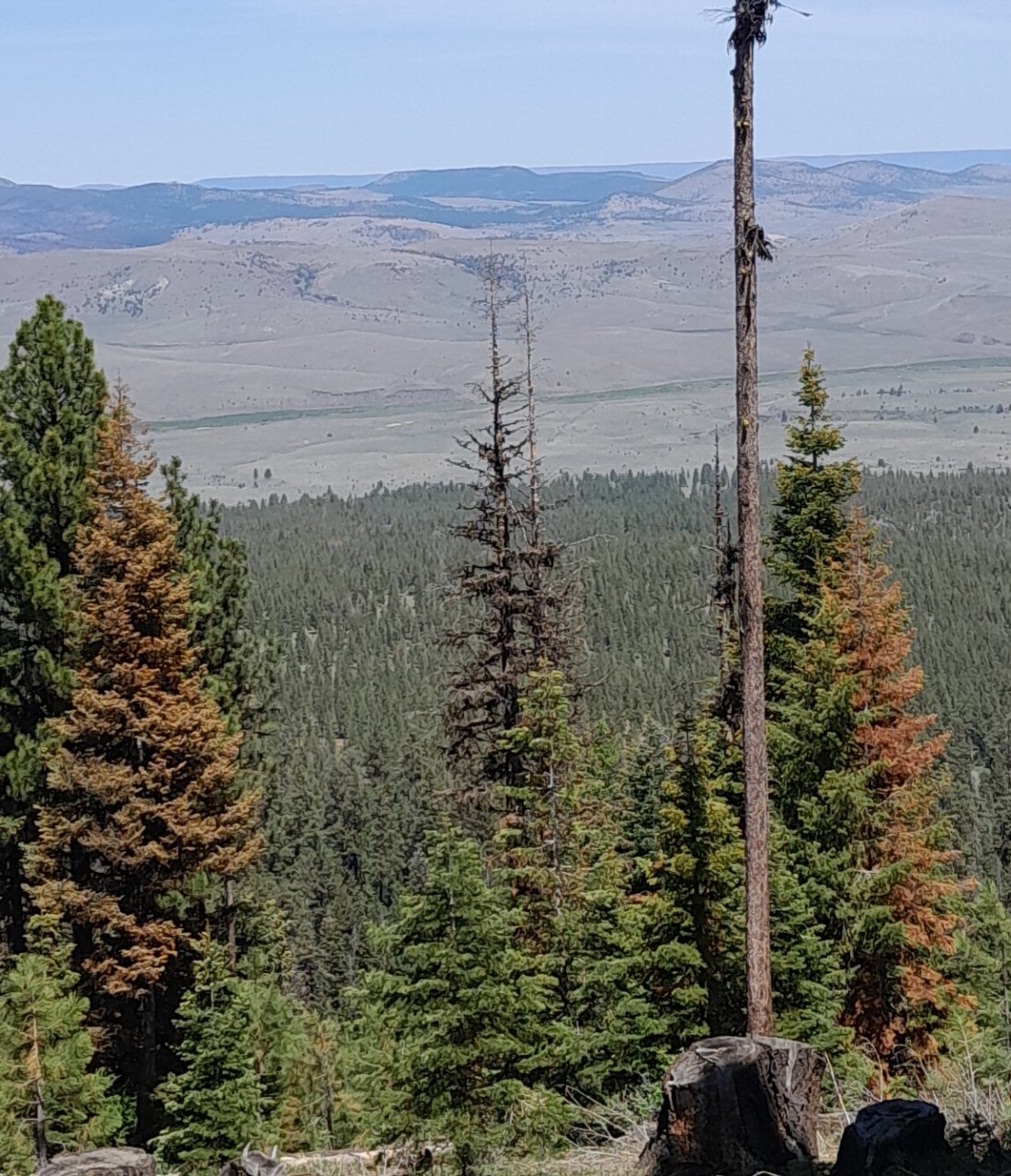 20250524_122902.jpg