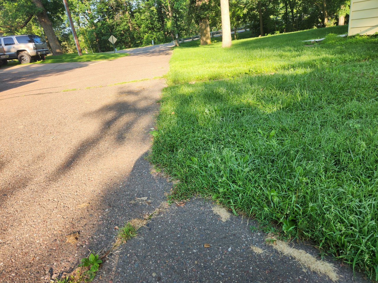 20250727_074550.jpg