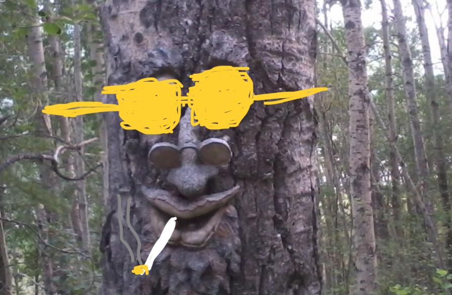 21818A89-5630-4225-AD25-02341BD19271.jpeg