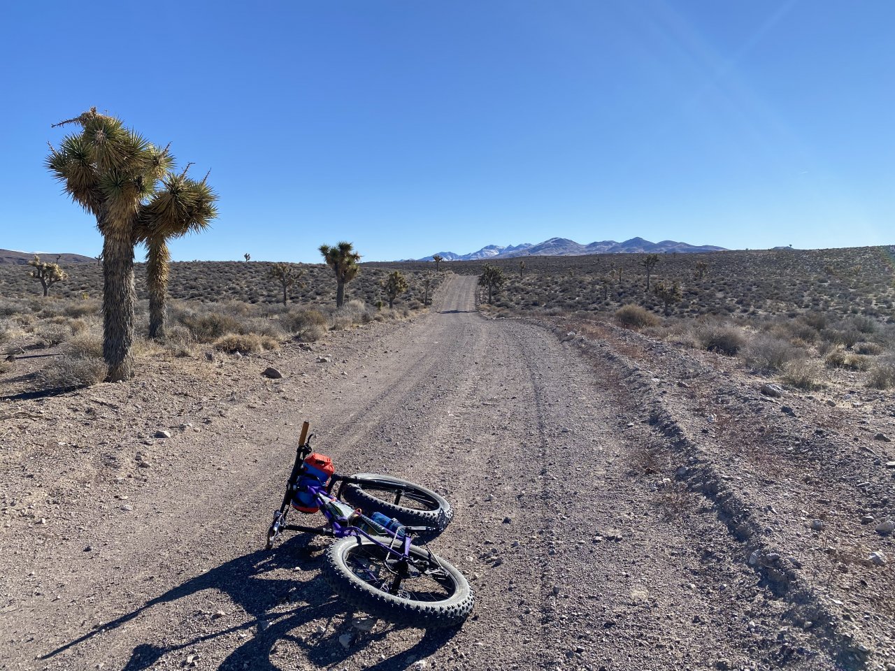 2298853D-2346-403B-BA4B-94261CE8712D.jpeg