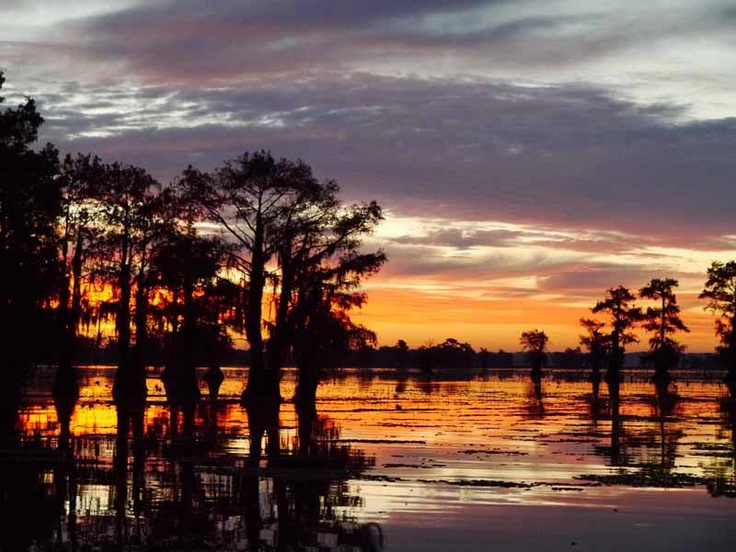 34059b3929ce10e6e0b3b96c3068ce54--oceans-louisiana (1).jpg