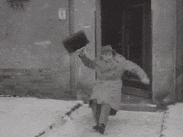 342696E4-7EEB-462C-969F-84B0441E32AC.gif