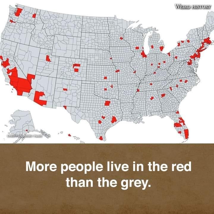 382CFD5F-9993-4D12-B5F0-E3E887C4B550.jpeg