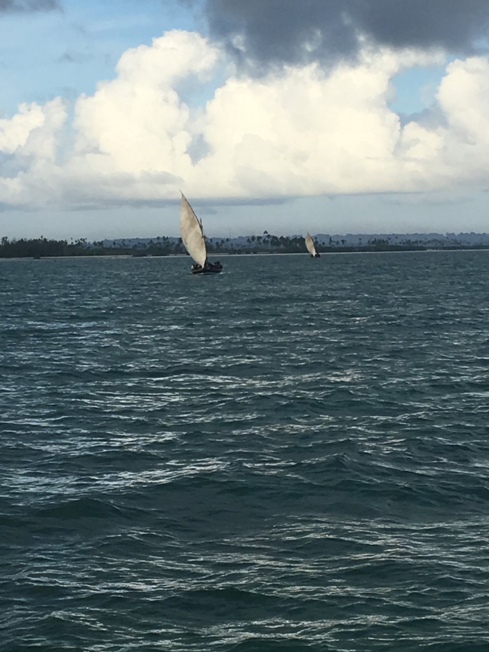 3B008927-4B10-4964-B161-687AA9267F12.jpeg