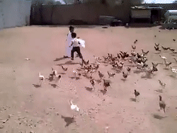 3D3C1265-F7D1-4B9E-B294-E86113F3AD3B.gif