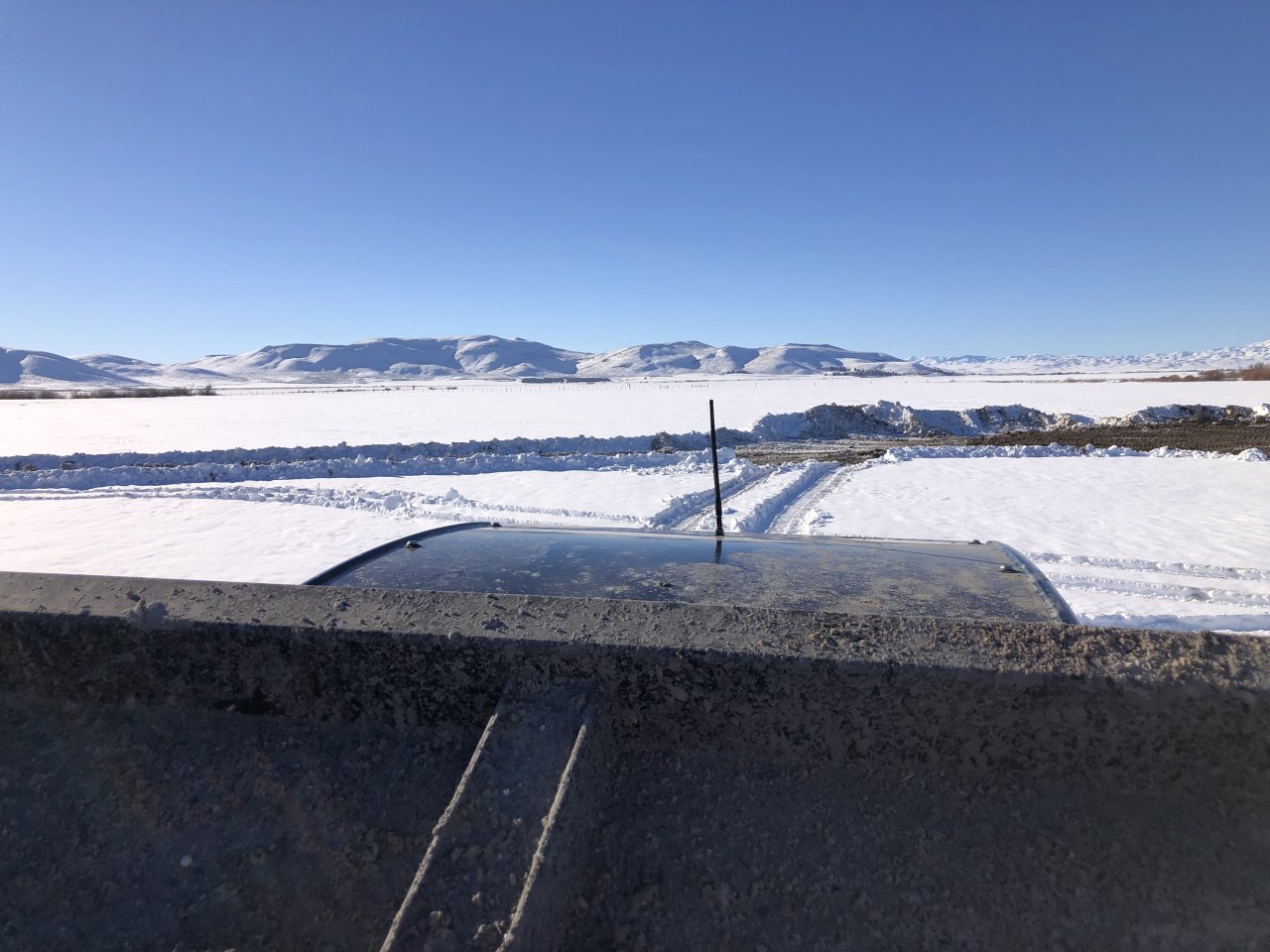 3FC79957-DA0B-4249-8AB7-C278F5E350A3.jpeg