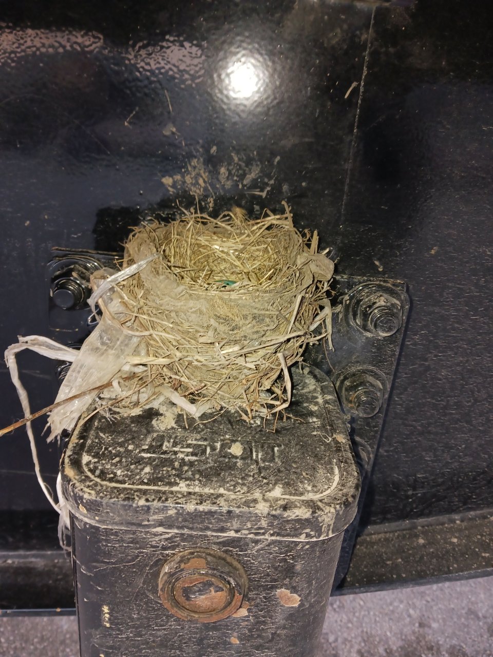 400AC264-F133-4C0D-BB6F-CD1538C22904.jpeg