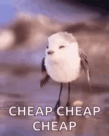 40BE717F-C218-4F47-B7D7-13E21BD07788.gif