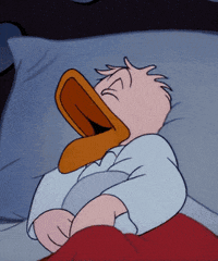 44ECF78A-1C28-4EBE-8DF8-A67C749989ED.gif