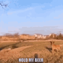 4538281C-185D-47F9-A876-4BA70C22257B.gif