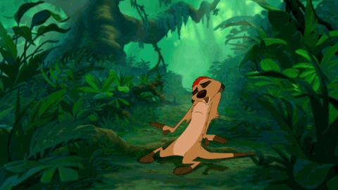 464D8658-FB6E-4D33-BEE8-F967C3CA8C9C.gif