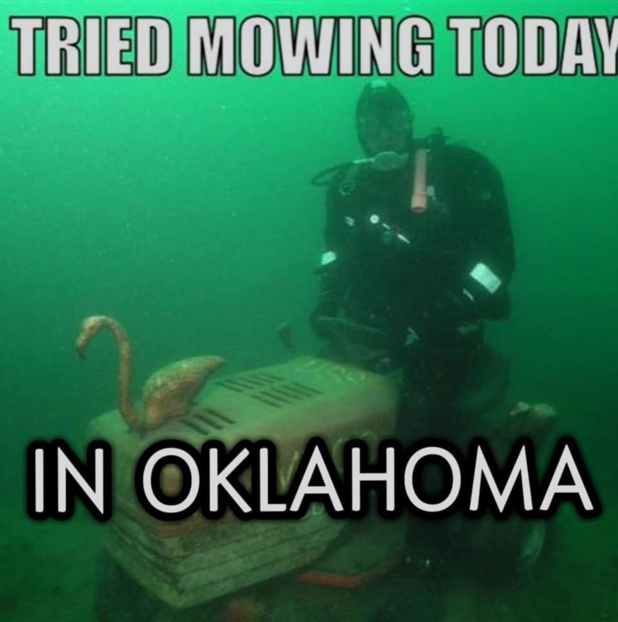 46750B66-575A-4697-B59C-523C29309D7A.jpeg