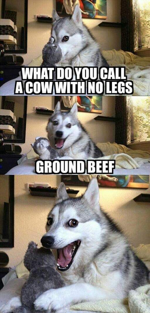 483AC362-B1EF-4B63-A0F8-DF995F4836EB.jpeg