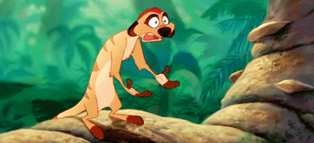4DC8448D-6E5E-40D2-AD72-F3F96E4F619C.gif